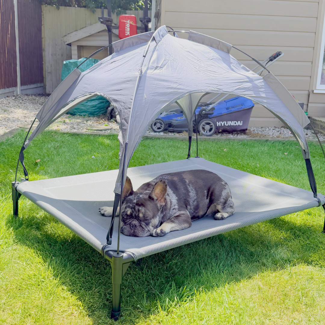 Too Hot To Handle Outdoor Dog Bed