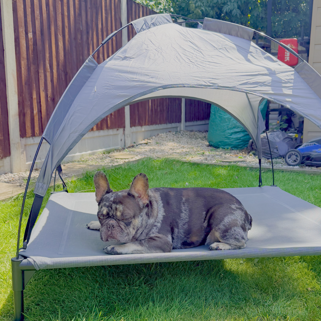 Too Hot To Handle Outdoor Dog Bed