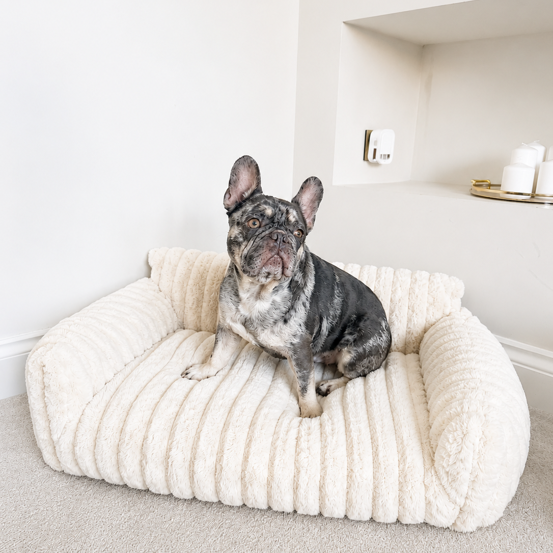 Luxury Calming Dog Sofa Bed