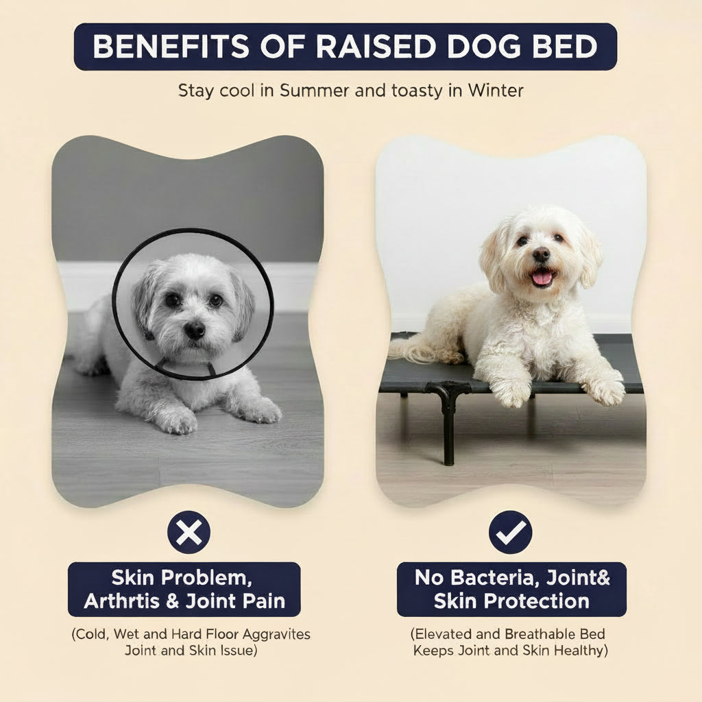 Outdoor Elevated UV Protection Dog Bed